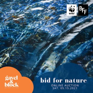 Bid for Nature - WWF-Philippines - ComCo SEA - New Pr Smart Social
